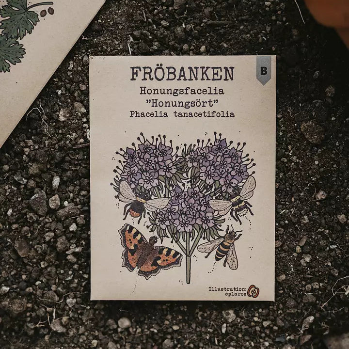 Krondill Common - Fröbanken