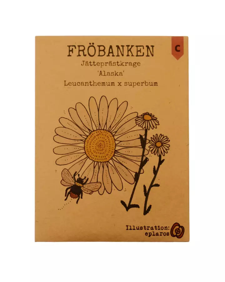 Jätteprästkrage Alaska - Fröbanken