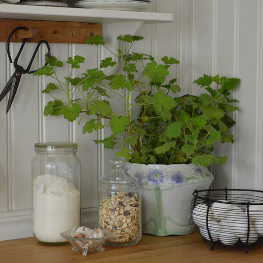 Trådkorg Rund Svart Liten