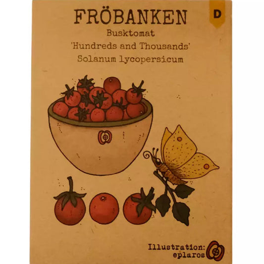 Busktomat Hundreds and Thousands - Fröbanken