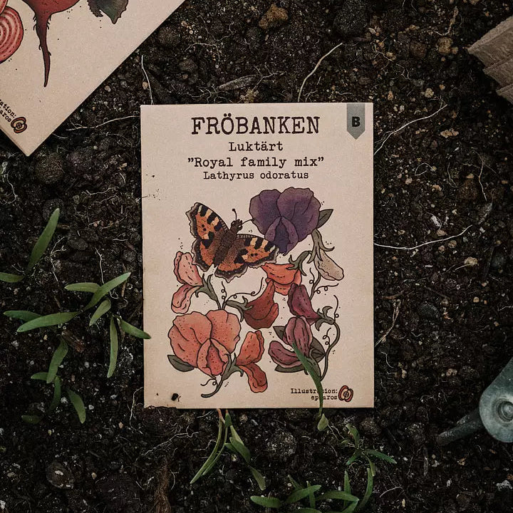 Luktärt Royal Family Mix - Fröbanken