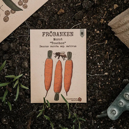 Morot Touchon - Fröbanken