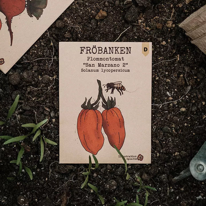 Plommontomat San Marzano