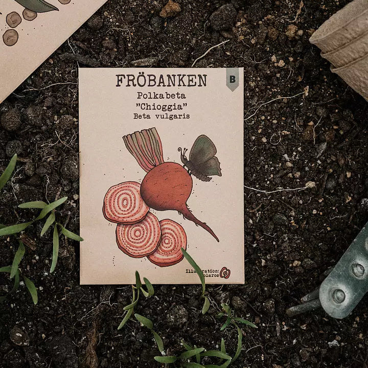 Polkabeta Chioggia - Fröbanken