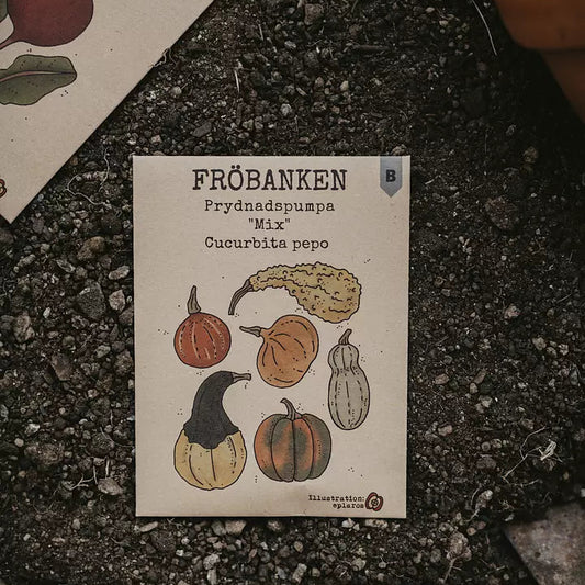 Prydnadspumpa Mix - Fröbanken