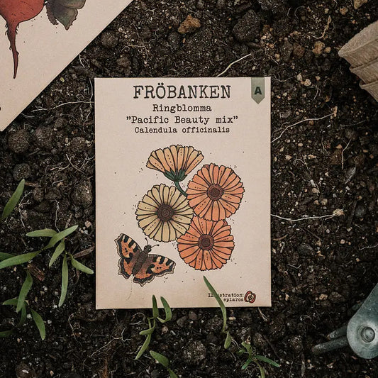 Ringblomma Pacific Beauty Mix - Fröbanken