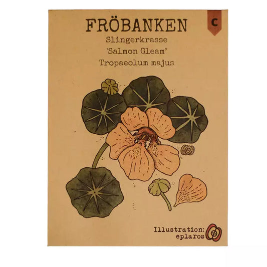 Slingerkrasse Salmon Gleam - Fröbanken